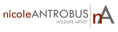 nicole antrobus - wildlife artist